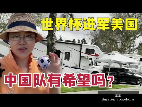 樊振东王楚,钦乒超总决,赛再对决,米乐体育,米乐体育平台,米乐体育App,米乐体育下载